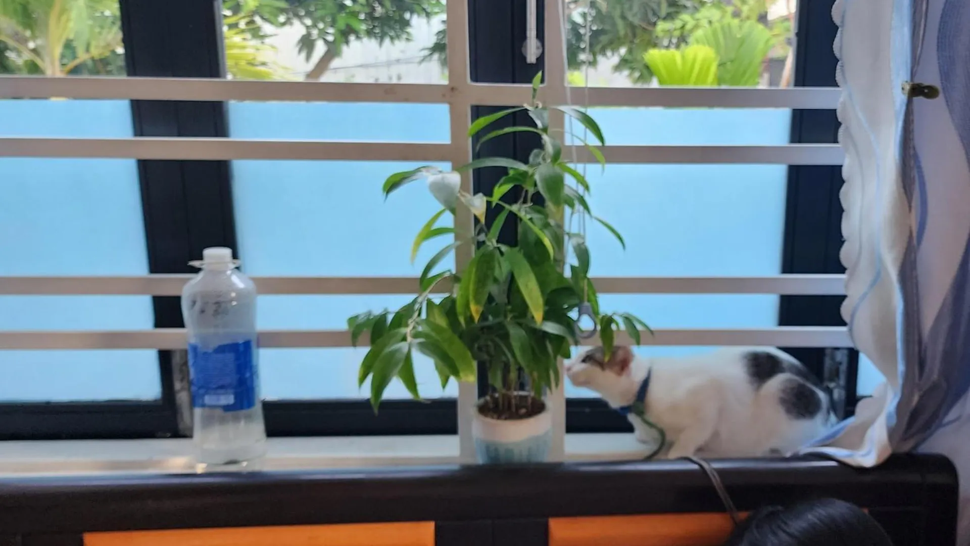 Sena Home 3#1-Near Danang Dragon Bridge-Han River בית הארחה דה נאנג